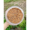 Muối Tiêu Ớt Tây Ninh Đặc Biệt Rang Củi, Không Tỏi - Vị Chay & Mặn, Chỉ 25.000₫ 7
