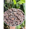Mứt chanh non sấy dẻo 500g - Giảm ho, giảm đau họng, ăn vặt ngon, chỉ 45.000₫ 7