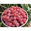 Mứt chanh non sấy dẻo 500g - Giảm ho, giảm đau họng, ăn vặt ngon, chỉ 45.000₫ 8