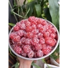 Mứt chanh non sấy dẻo 500g - Giảm ho, giảm đau họng, ăn vặt ngon, chỉ 45.000₫ 9