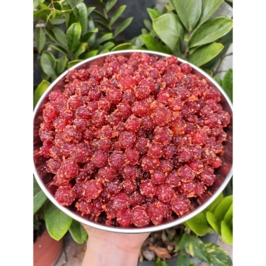 Mứt chùm ruột sốc muối ớt 1KG - Snack thơm cay, thức ăn vặt, giảm giá 95.000₫ 7