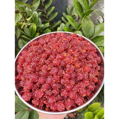 Mứt Chùm Ruột Xốc Muối Ớt 250g - Thức ăn vặt trái cây sấy dẻo ngon giá 28.000 VND