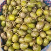 Mứt cóc dẻo chua cay 500g - Cóc non sấy dẻo, đồ ăn vặt ngon, giảm giá 45.000₫ 3