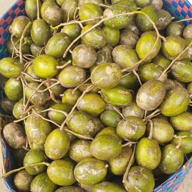 Mứt cóc dẻo chua cay 500g - Cóc non sấy dẻo, đồ ăn vặt ngon, giảm giá 45.000₫ 3