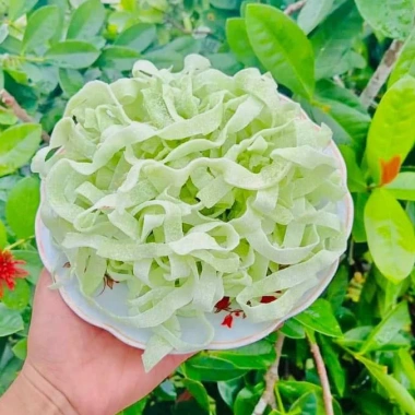 Mứt Dừa Bến Tre miếng bào mỏng béo ít đường, vựa khô Minh Trí - Giá chỉ 99.000đ