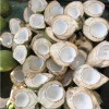 Mứt dừa non 1kg ít đường nhà làm - Dẻo mềm, thơm ngon, màu rau củ, không chất bảo quản - Giá ưu đãi 158k 3
