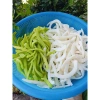Mứt dừa non 500gr Bến Tre vị truyền thống lá dứa, giàu vitamin muối khoáng, giảm giá 165k 3