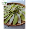 Mứt dừa non sấy dẻo 600g Đặc sản Bến Tre, ít ngọt, không phẩm màu, nhà làm 185k 6