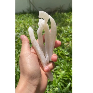Mứt dừa sáp đường phèn My Túi 250g - Ngon tự nhiên, giảm còn 130.000 VND