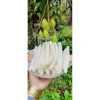 Mứt Dừa Sáp Đường Phèn Truyền Thống Dẻo Ngọt Nhẹ Thơm Lá Dứa - Gói Hút Chân Không / Hộp, 110k (Giá Gốc 139.7k) 5