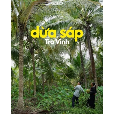 Mứt Dừa Sáp Thượng Loại 1 250gr Vị Lá Dứa - Cao cấp, thơm ngon, chỉ 129k 6