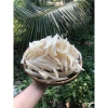 Mứt Dứa Sợi Non Mềm Dẻo Đặc Sản Bến Tre 500g - Giá chỉ 119.000₫