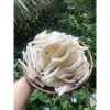 Mứt Dứa Sợi Non Mềm Dẻo Đặc Sản Bến Tre 500g - Giá chỉ 119.000₫ 8