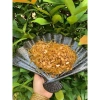 Mứt Gừng Sôi Dẻo Đậu Phộng 500g - Ngon Bổ Dinh Dưỡng, Giá Ưu Đãi 95k 6