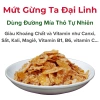 Mứt Gừng Ta Đường Mía Thô Tự Nhiên Không Luộc, Giảm Giá 22% - 250g/500g/1kg 2