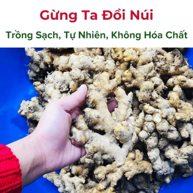 Mứt Gừng Ta Đường Mía Thô Tự Nhiên Không Luộc, Giảm Giá 22% - 250g/500g/1kg 5 Mứt Gừng Ta Đường Mía Thô Tự Nhiên Không Luộc, Giảm Giá 22% - 250g/500g/1kg 5