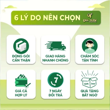 Mứt gừng viên mật ong - Giảm giá đặc biệt 70.000, hương vị ngọt tự nhiên 9