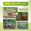 Mứt gừng viên Xứ Tiên gừng sẻ núi đường mía hữu cơ 500g Giá chỉ 50.000 VNĐ 7