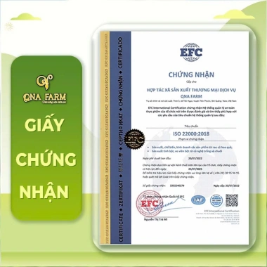 Mứt gừng viên Xứ Tiên gừng sẻ núi đường mía hữu cơ 500g Giá chỉ 50.000 VNĐ