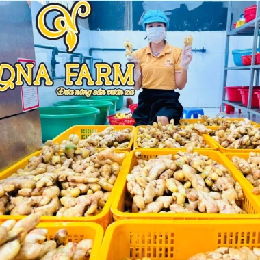 Mứt Gừng Viên Xứ Tiên OCOP 3 Sao - Đặc Sản Quảng Nam, Giá 41.400đ, Giảm 52.578đ 7