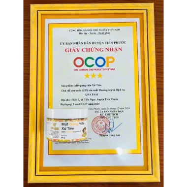 Mứt Gừng Viên Xứ Tiên QNA Farm Ocop 3 Sao 95g - Ấm Họng, Tiêu Hóa Tốt, Giảm Say Xe, Giá 39.600 VNĐ
