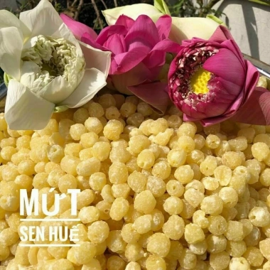Mứt Hạt Sen Huế Siêu Ngon - Mứt Tết Đặc Sản Huế Hương Vị Thơm Ngon Giá Ưu Đãi 100.388 VND
