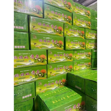Mứt Kiwi Xanh Sấy Khô 500g/1kg – Giá 70.000đ, vị ngọt tự nhiên, giàu vitamin C 2