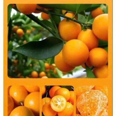 Mứt Quất Sấy Cam Thảo 500g/300g Ô Mai - Giảm Ho Hiệu Quả, Giá 39.000 VNĐ