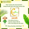 Mứt tết dừa sáp sữa tươi sấy dẻo KINGCOCO Trà Vinh 500g hộp và túi ép chân không - 235k 2