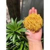 Mỳ lứt rau củ và đậu đỗ - Thực phẩm dinh dưỡng, giảm cân, giá chỉ 80.000 VND 2