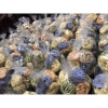Mỳ rau củ hữu cơ 500g - Dinh dưỡng cao, không chất bảo quản, giảm giá 75.000 VND 4