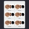 Mya Electric Cocktail Smoker USB - Máy Pha Whisky Di Động Cho Chồng, Giá 399.675₫ 6