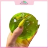 MYPANDA Bóp Nhựa Xanh Giảm Căng Thẳng và Thông Hơi Tức Giận - Giá 43.200₫ 3