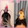 MYPANDA Đồ Quấn Tóc Nữ Chuột Lang Băng Ngộ Nghĩnh - Phụ Kiện Tóc Sang Trọng, Giá Giảm Đặc Biệt 62.532₫ 5