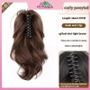 MYPANDA Đuôi Ngựa Đa Năng Móng Vuốt, Kẹp Lông Tơ Xoăn, Phụ Kiện DIY Giá 68,256 VND 9