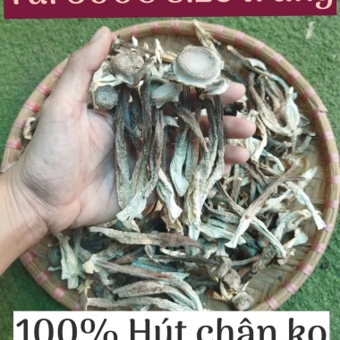Nấm Bào Ngư Xám Khô Hàng Loại 1 VIP - Túi 200g/500g, Hàng Nông Sản VN, Hamifoods
