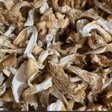 Nấm Bào Ngư Xám Khô Hàng Loại 1 VIP - Túi 200g/500g, Hàng Nông Sản VN, Hamifoods
