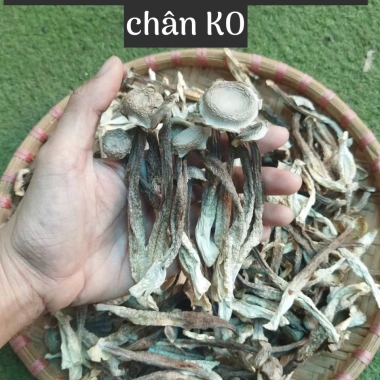 Nấm Bào Ngư Xám Khô Hàng Loại 1 VIP - Túi 200g/500g, Hàng Nông Sản VN, Hamifoods