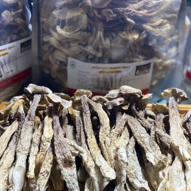 Nấm Bào Ngư Xám Khô Hàng Loại 1 VIP - Túi 200g/500g, Hàng Nông Sản VN, Hamifoods