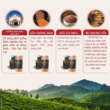 Nấm đông trùng hạ thảo khô sấy thăng hoa 50g – Organic Cao nguyên Đà Lạt, giảm giá 1.250.000₫