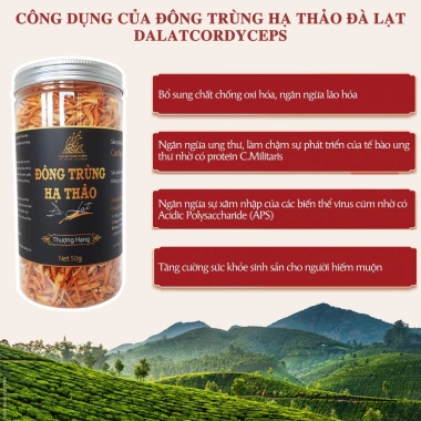 Nấm đông trùng hạ thảo khô sấy thăng hoa 50g – Organic Cao nguyên Đà Lạt, giảm giá 1.250.000₫