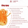 Nấm Đông Trùng Hạ Thảo Nguyên Sợi Sấy Thăng Hoa Nam Tiến Phát - Bồi Bổ Sức Khỏe, Giá 153.000đ 20g/50g 2