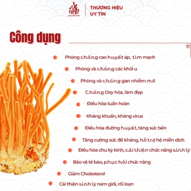 Nấm Đông Trùng Hạ Thảo Nguyên Sợi Sấy Thăng Hoa Nam Tiến Phát - Bồi Bổ Sức Khỏe, Giá 153.000đ 20g/50g 2 Nấm Đông Trùng Hạ Thảo Nguyên Sợi Sấy Thăng Hoa Nam Tiến Phát - Bồi Bổ Sức Khỏe, Giá 153.000đ 20g/50g 2