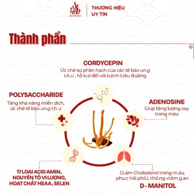 Nấm Đông Trùng Hạ Thảo Nguyên Sợi Sấy Thăng Hoa Nam Tiến Phát - Bồi Bổ Sức Khỏe, Giá 153.000đ 20g/50g