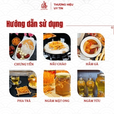 Nấm Đông Trùng Hạ Thảo Nguyên Sợi Sấy Thăng Hoa Nam Tiến Phát - Bồi Bổ Sức Khỏe, Giá 153.000đ 20g/50g