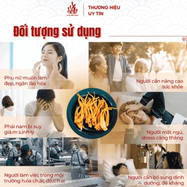 Nấm Đông Trùng Hạ Thảo Nguyên Sợi Sấy Thăng Hoa Nam Tiến Phát - Bồi Bổ Sức Khỏe, Giá 153.000đ 20g/50g