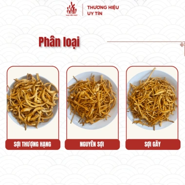 Nấm Đông Trùng Hạ Thảo Nguyên Sợi Sấy Thăng Hoa Nam Tiến Phát - Bồi Bổ Sức Khỏe, Giá 153.000đ 20g/50g