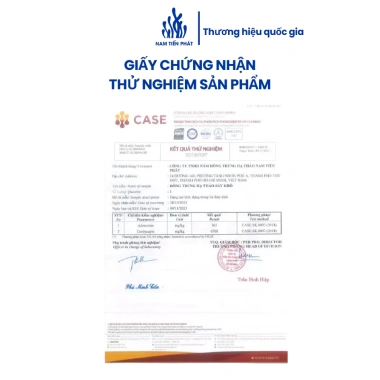 Nấm Đông Trùng Hạ Thảo Nguyên Sợi Sấy Thăng Hoa Nam Tiến Phát - Bồi Bổ Sức Khỏe, Giá 153.000đ 20g/50g