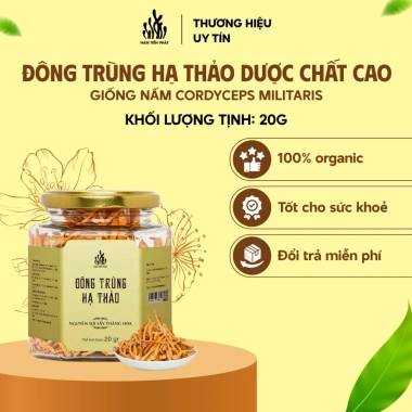 Nấm Đông Trùng Hạ Thảo Nguyên Sợi Sấy Thăng Hoa Nam Tiến Phát - Bồi Bổ Sức Khỏe, Giá 153.000đ 20g/50g