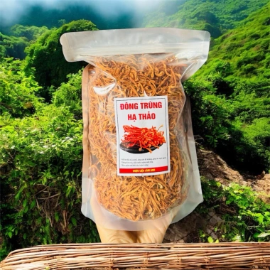 Nấm Đông Trùng Hạ Thảo Sấy Khô 1Kg - Sợi to đẹp, hương thơm tự nhiên, dưỡng sức, bổ dưỡng